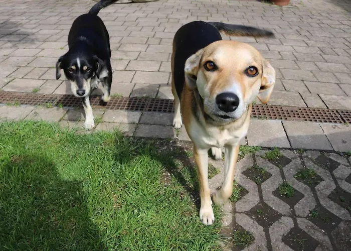 Frenkcottage 5 Km From The Airport- Free Transportation To The Airport בית אירוח